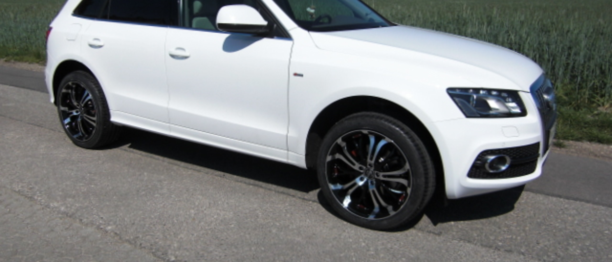 Q5 Weiß
