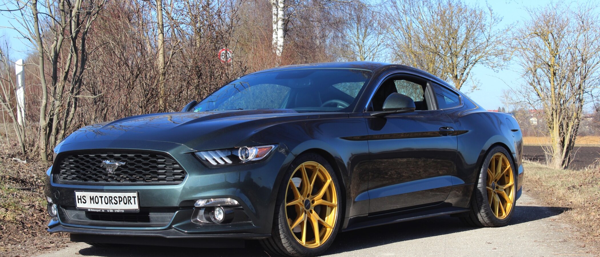 Mustang LAE 2.3